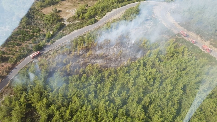 Dörtyol’da Orman Yangını