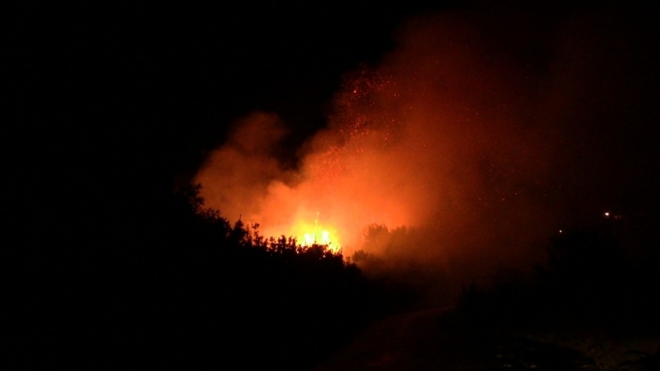 Samandağ’da Otluk Alanda Çıkan Yangın Korkuttu