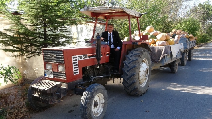 Isparta’da Kabak Hasadı Başladı