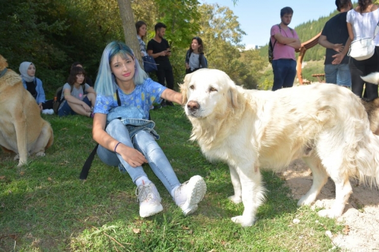 İzmit’te Sokak Hayvanlarına 150 Kilo Mama Dağıtıldı