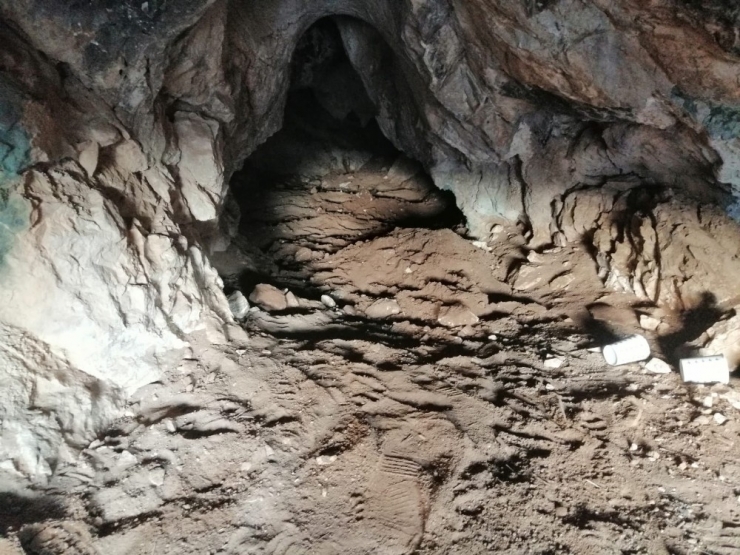 Define Avcıları Suçüstü Yakalandı