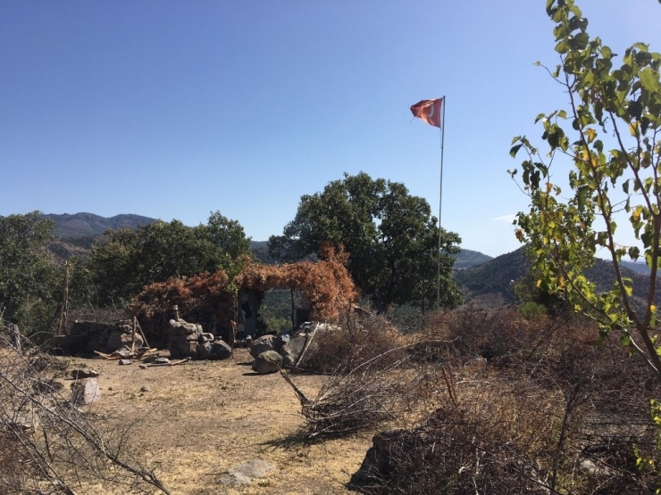 7 Aydır Aranan Şahıs Dağda Kurduğu Barakada Yakalandı