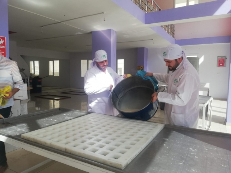 Organik Keçi Sütü Sabunlar, Gençliğin Ve Kadınların Gözdesi