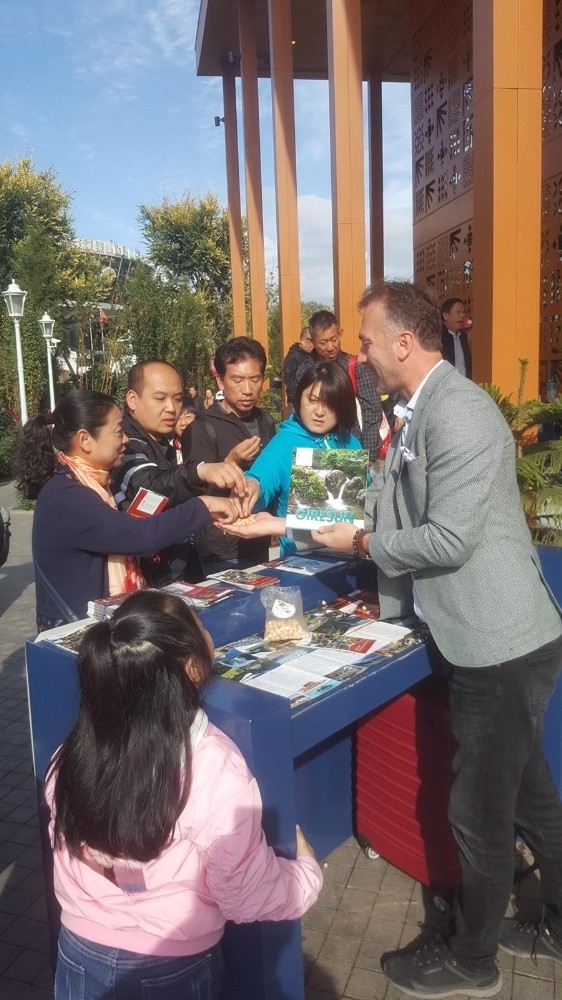 Giresun Valiliği’nden Çin’de Tanıtım Atağı