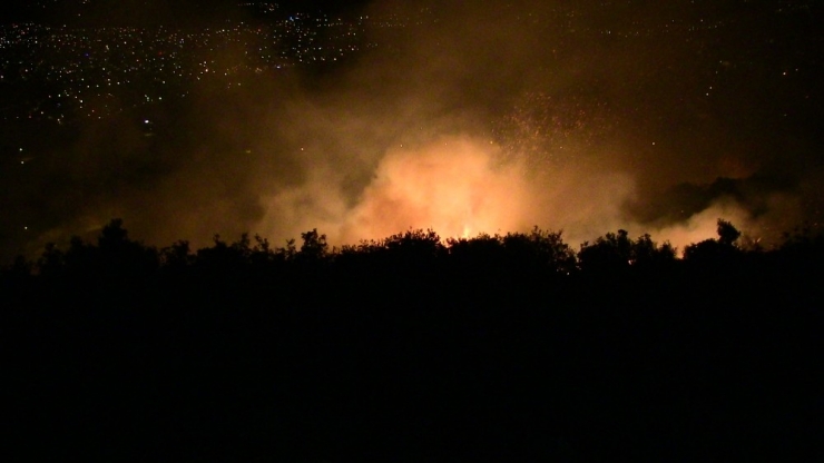 Samandağ’da Zeytinlik Alanda Korkutan Yangın