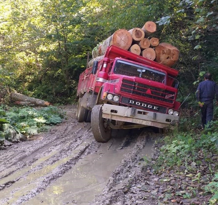 Tomruk Yüklü Kamyon Yan Yattı