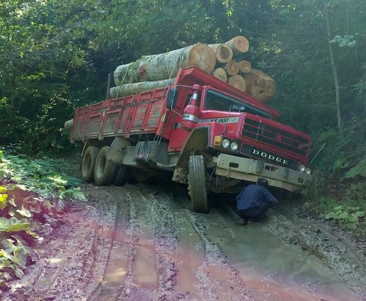 Tomruk Yüklü Kamyon Yan Yattı
