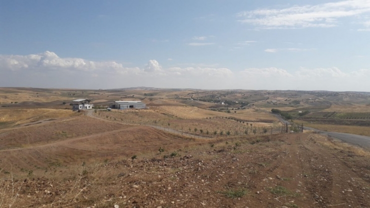 Kahta’da Metan Gazı Paniği