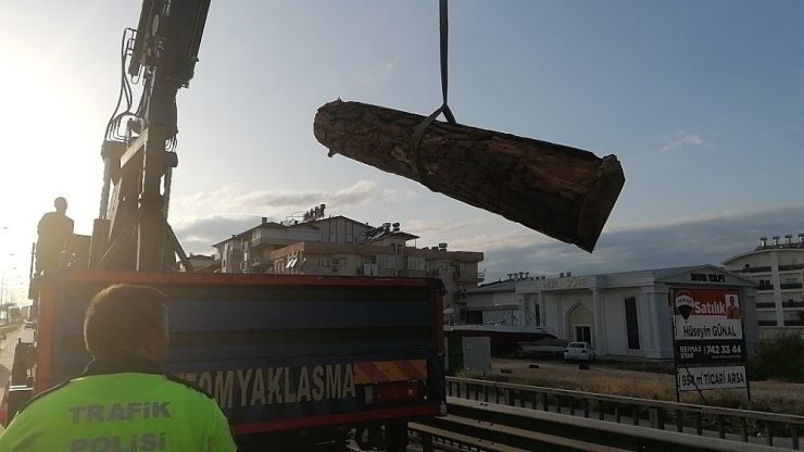 Yola Dökülen Tomruklar Kazaya Neden Oldu