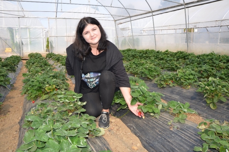 Çilek Yüz Güldürdü