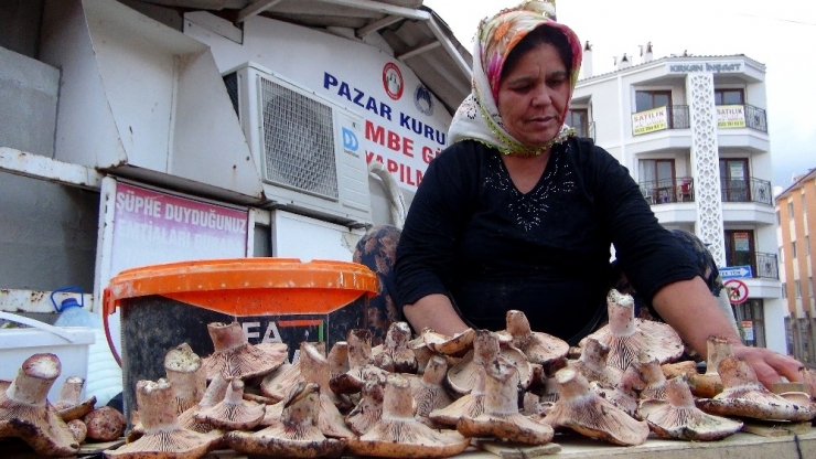 Çıntar Sezonu 20 Tl’den Açıldı