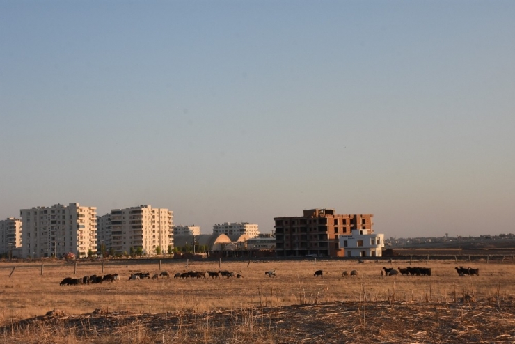 Bulduğu Cisim Elinde Patlayan Çoban Yaralandı