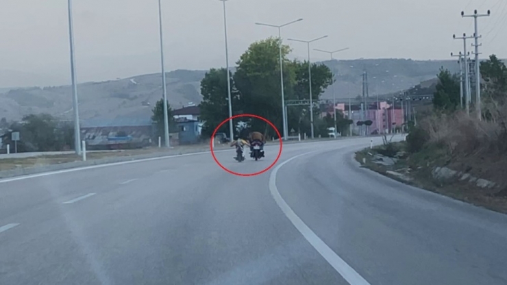Motosiklet Üstünde Yatarak Giden Sürücü Tehlike Saçtı