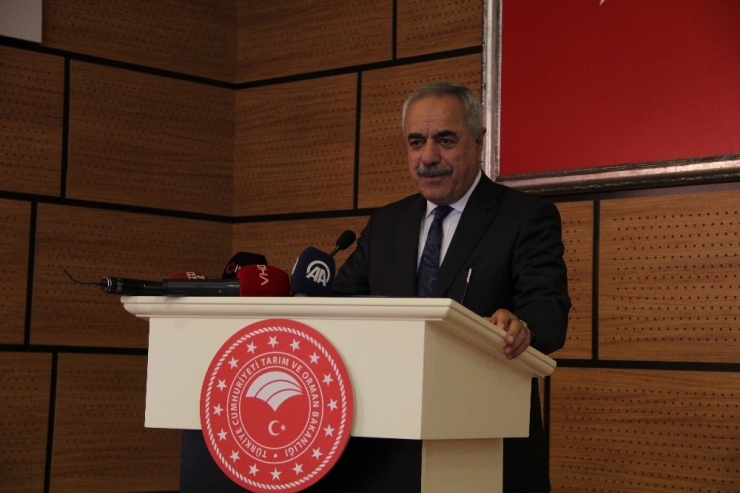 Zeytinde Rekolte Beklentisi 1 Milyon 515 Bin Ton