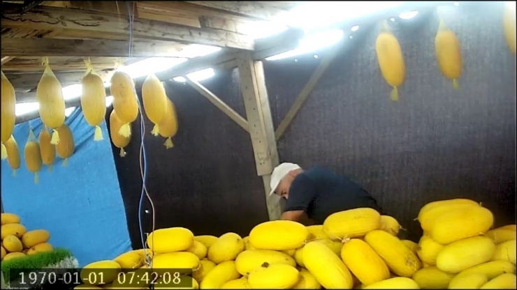 Ne Yaptığını Öğrenince Çok Şaşıracaksınız