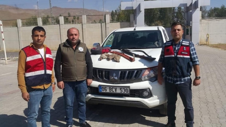 Kafes Avcısı Jandarmaya Takıldı