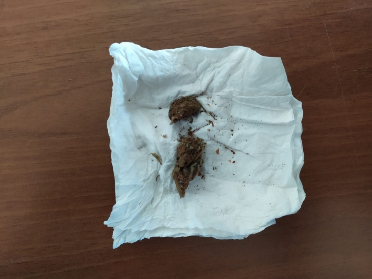 Araçta Uyuşturucu Madde Ele Geçirildi