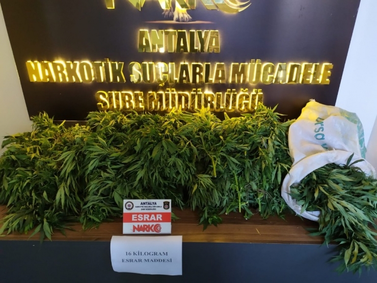 Araçta Uyuşturucu Madde Ele Geçirildi