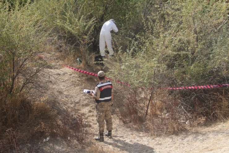 Annesi Yaralı Halde Buldu, Hastanede Hayatını Kaybetti