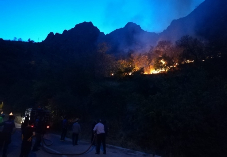 Kemaliye’de Meyve Ağaçları Yanarak Kül Oldu