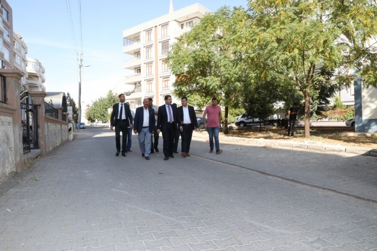 Haliliye’de Ağaçlar Toprakla Buluşuyor