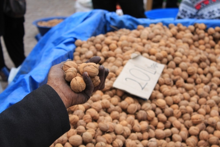Ceviz Kalp Damar Sağlığını Korur