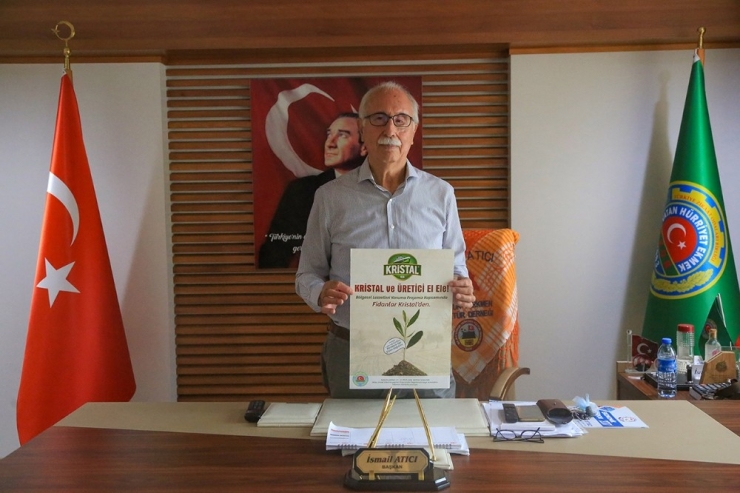 Mizo Üyelerine Ücretsiz Memecik Zeytin Fidanı Dağıtılacak