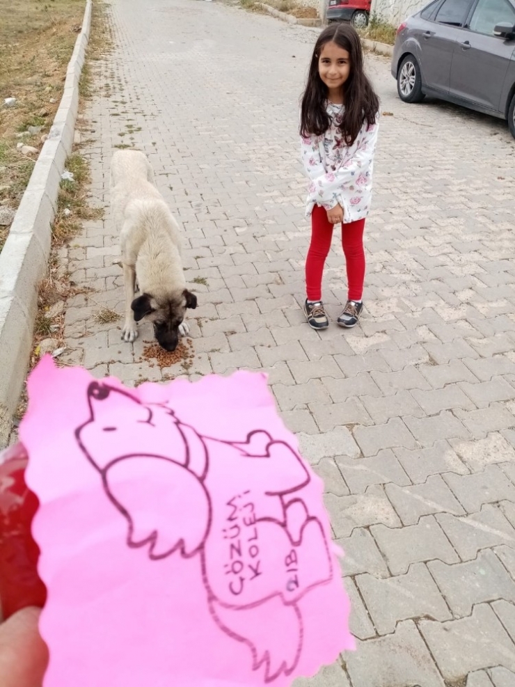 Minik Öğrencilerden Sokak Hayvanlarına Dostluk Eli