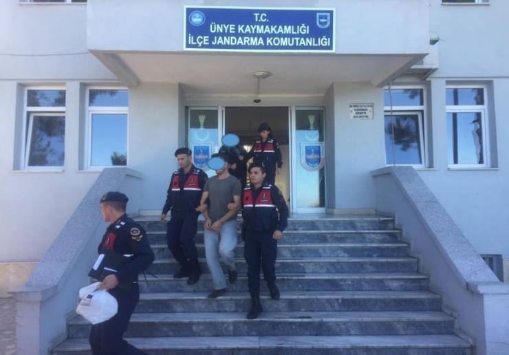 Ordu’da Uyuşturucu İle Mücadele Sürüyor