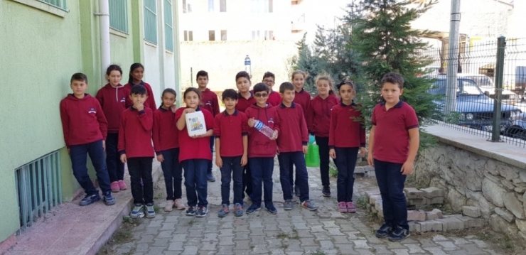 Ortaokul Öğrencileri Ağaç Bakımı Yaptı