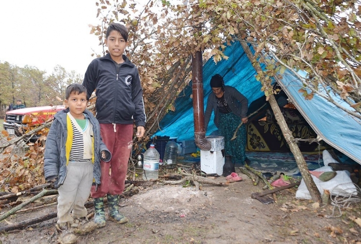 Kundaktaki Bebeğiyle Mantar Nöbeti Tutuyor
