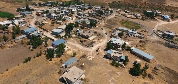 Eyyübiye’de Yol Yapım Çalışmaları Sürüyor