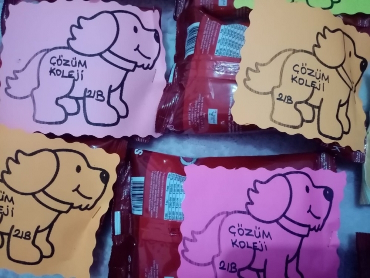 Minik Öğrencilerden Sokak Hayvanlarına Dostluk Eli