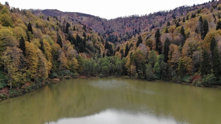 Borçka Karagöl’ün Büyüleyen Sonbahar Güzelliği