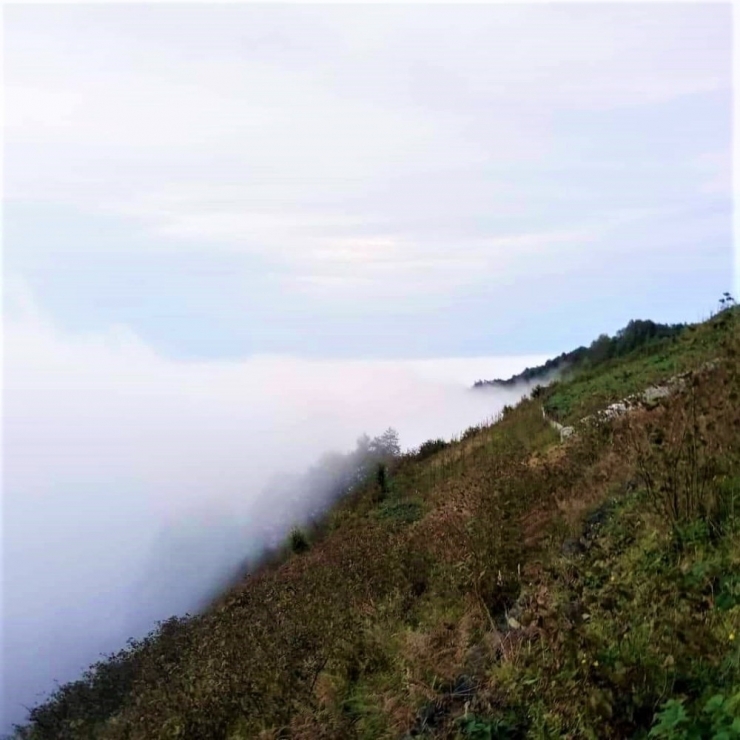 Sis Bulutlarının Kartpostallık Görüntüleri