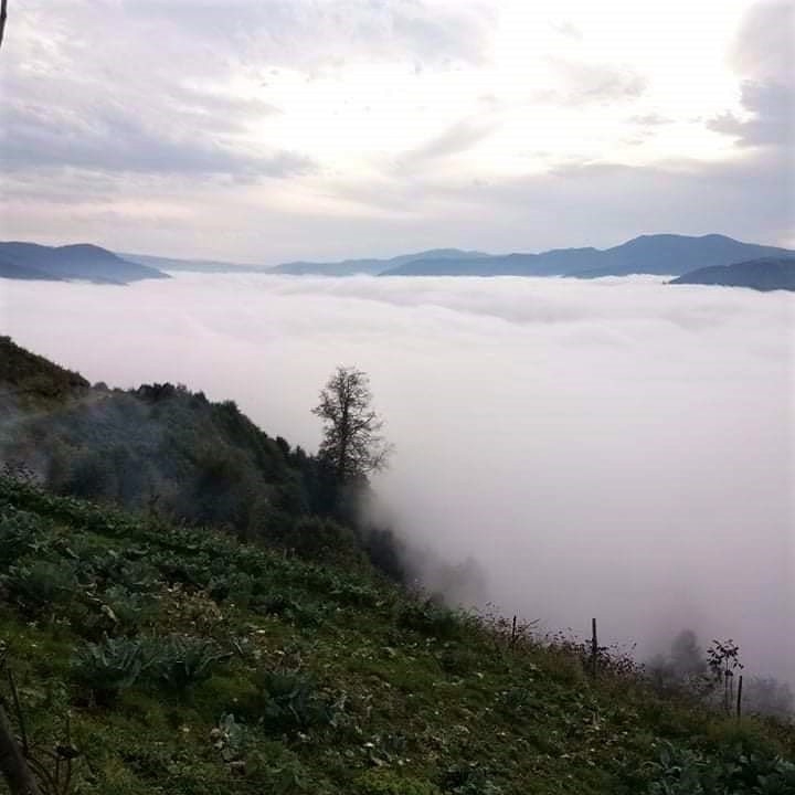 Sis Bulutlarının Kartpostallık Görüntüleri