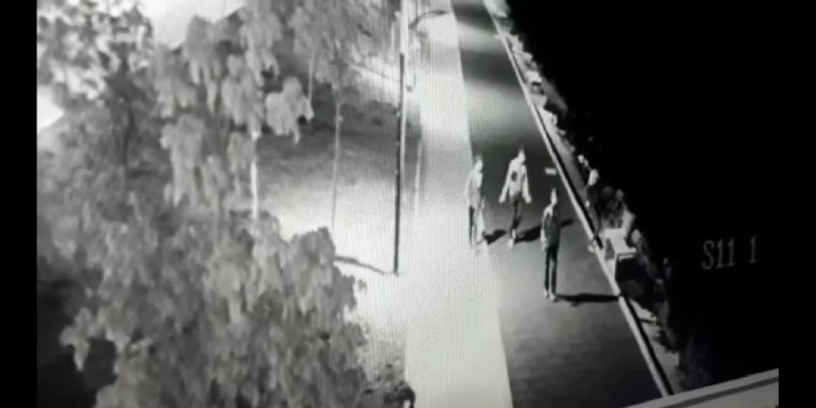 Çöp Kovalarını Kırıp Van Gölü’ne Atan Şüpheliler Yakalandı