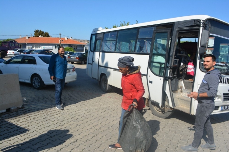 Ayvalık’ta 28 Düzensiz Göçmen Yakalandı