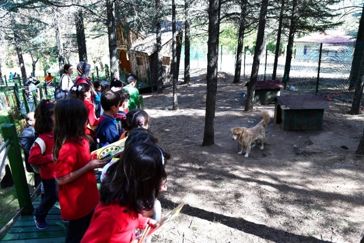 Hayvan Dostu Miniklerden Anlamlı Ziyaret