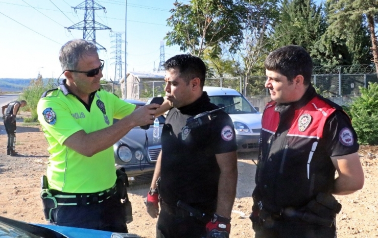 Her Şey Usulüne Göre