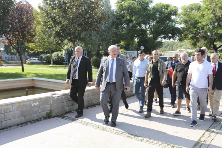 Konser Alanı Oluşturmak İçin Ağaçları Kestiler