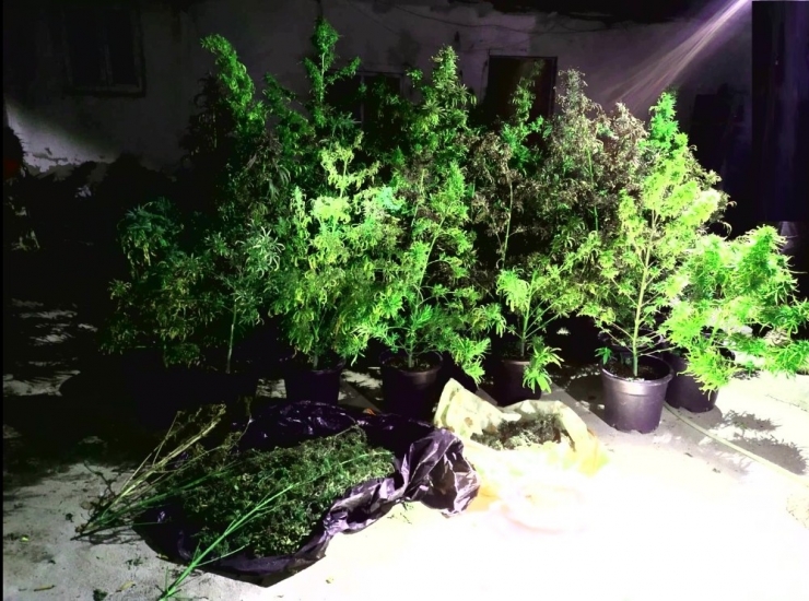 Eskişehir’de 1 Kilo 500 Gram Esrar Ele Geçirildi