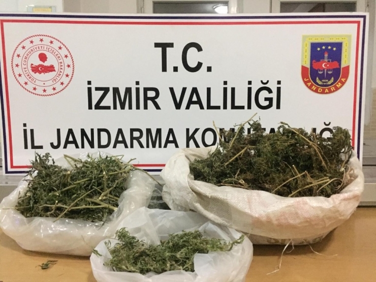 İzmir’de Jandarmadan Sahte İçki Ve Uyuşturucu Operasyonu