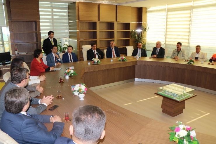 Denetimli Tadilata Teşekkür Belgesi