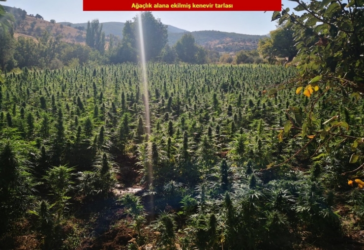 Terörün Finans Kaynağına Büyük Darbe