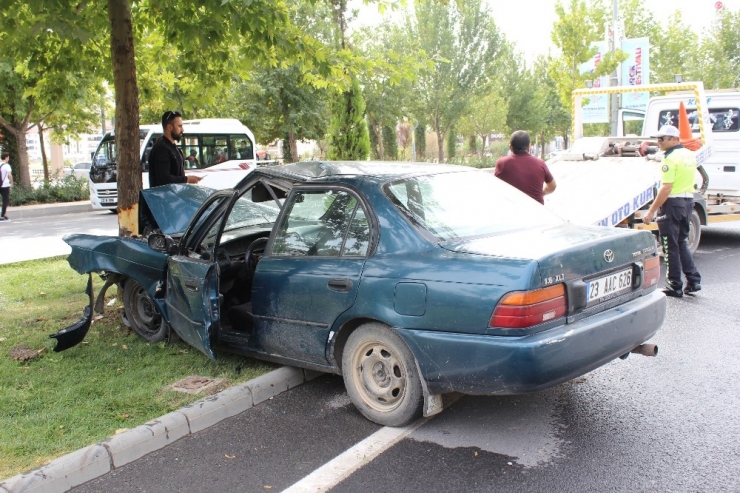 Elazığ’da Otomobil Ağaca Çarptı: 1 Yaralı