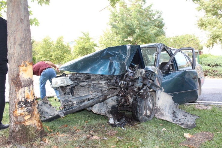 Elazığ’da Otomobil Ağaca Çarptı: 1 Yaralı