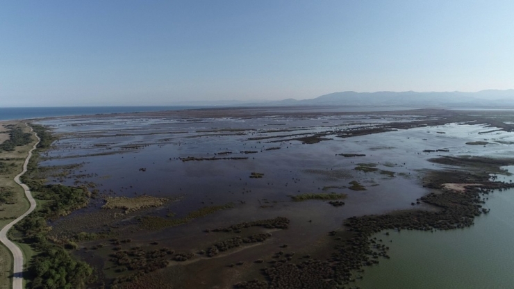 Kızılırmak Deltası’nda ’Daimi’ Hazırlık