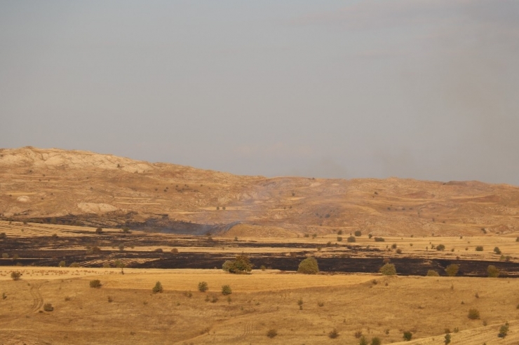 Sivas’ta Ot Yangını