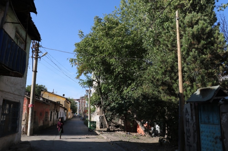 Ceviz Ağacından Düşen Çocuk Ağır Yaralandı